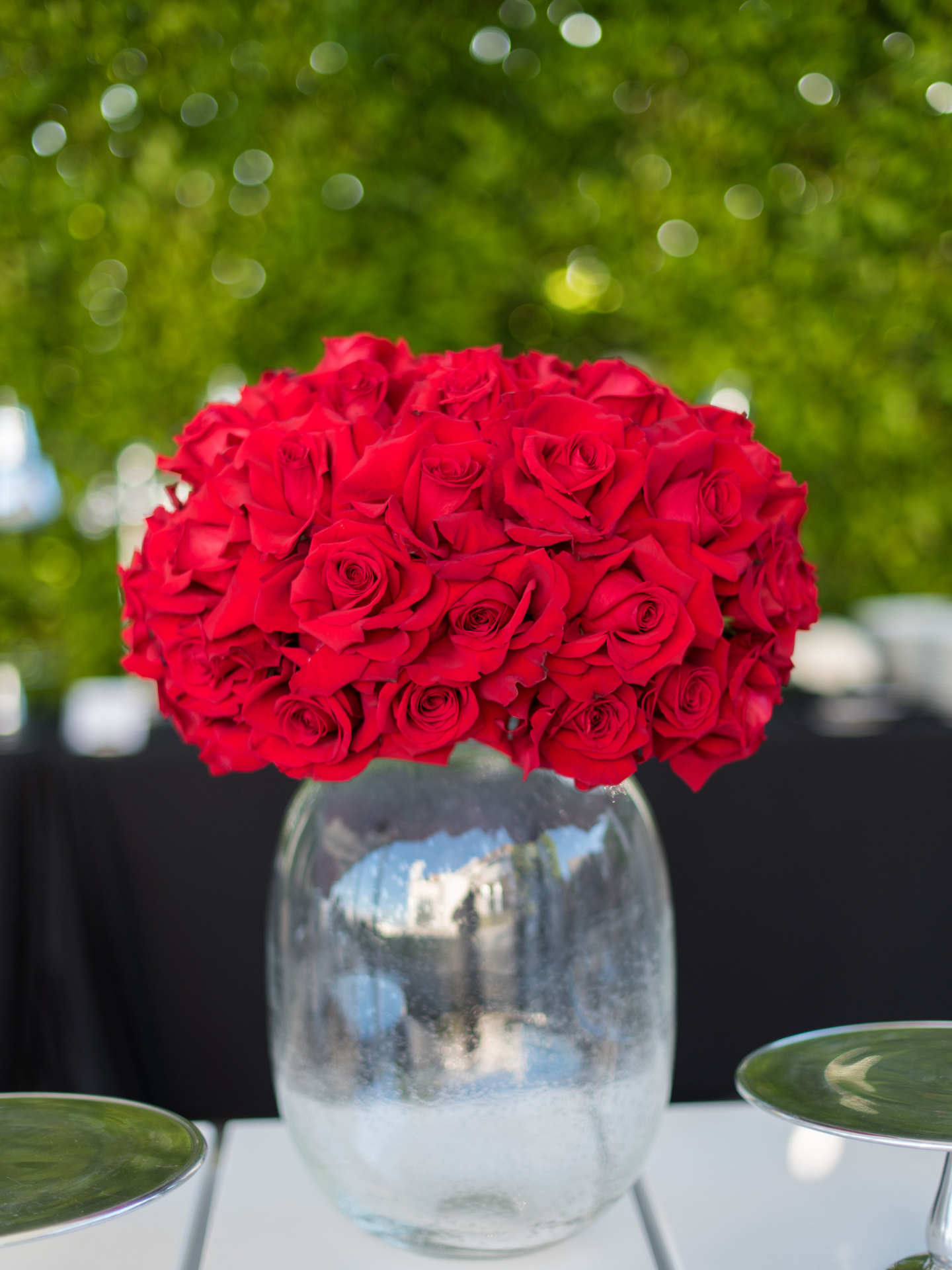 Casper Roses