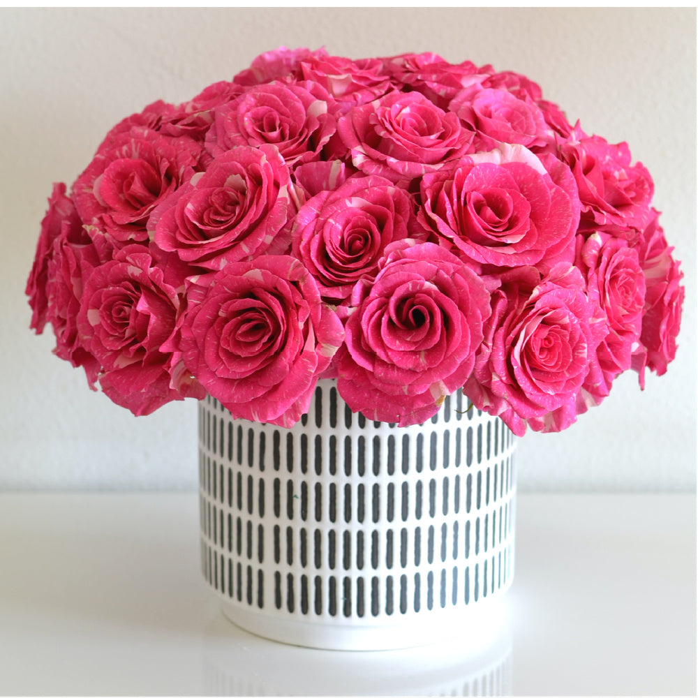 Fun & Fuschia
