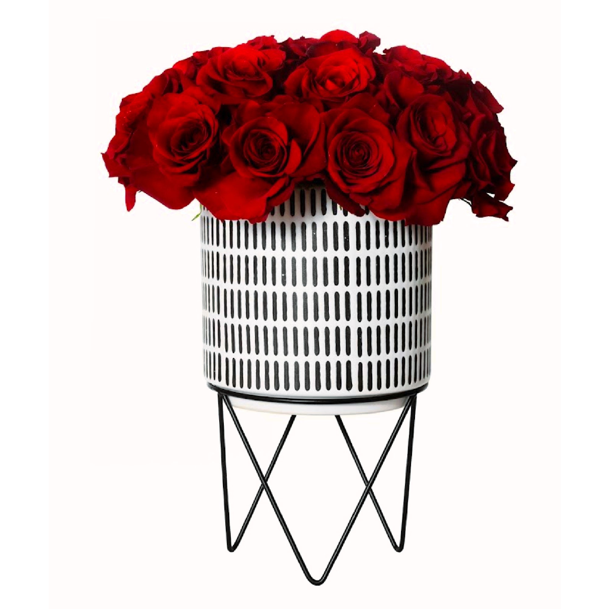 Pedestal Roses