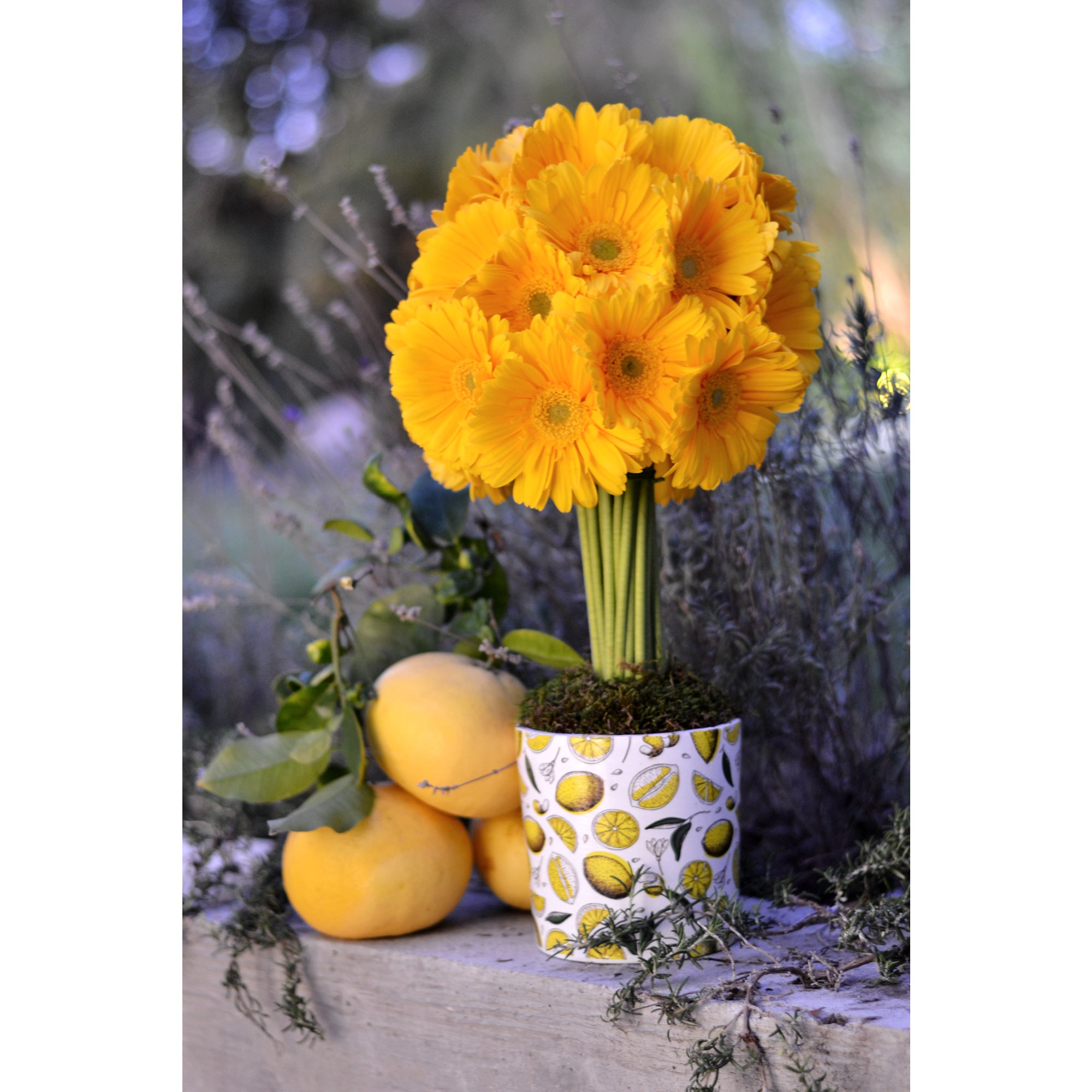 Lemon & Sunshine