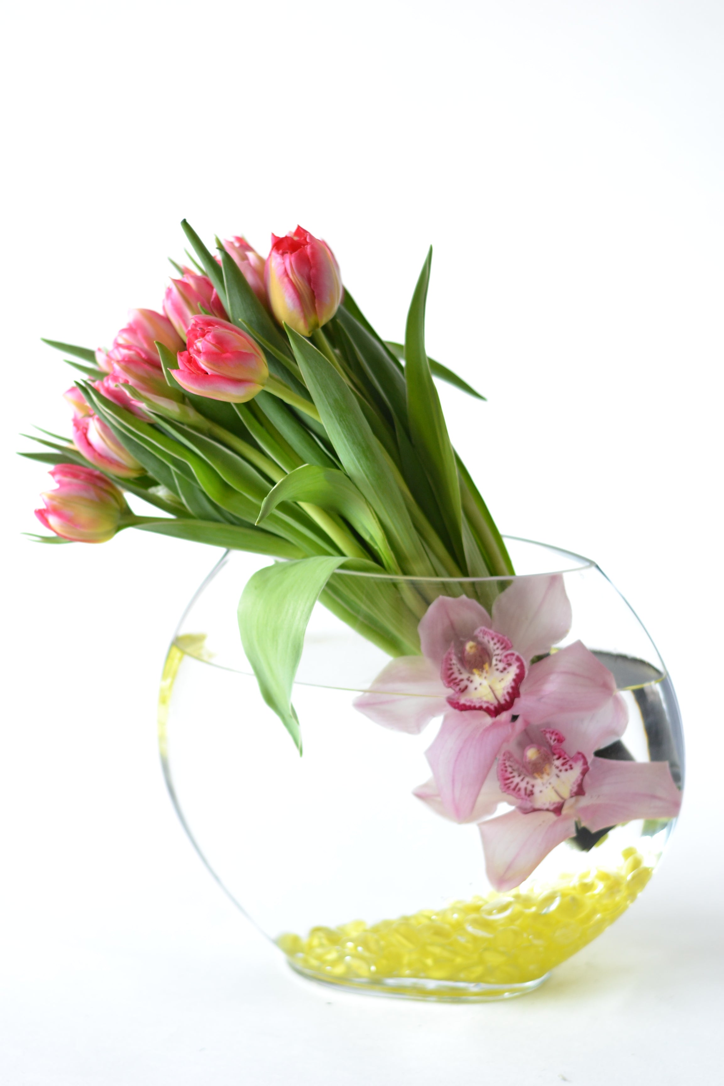 Greta Tulips