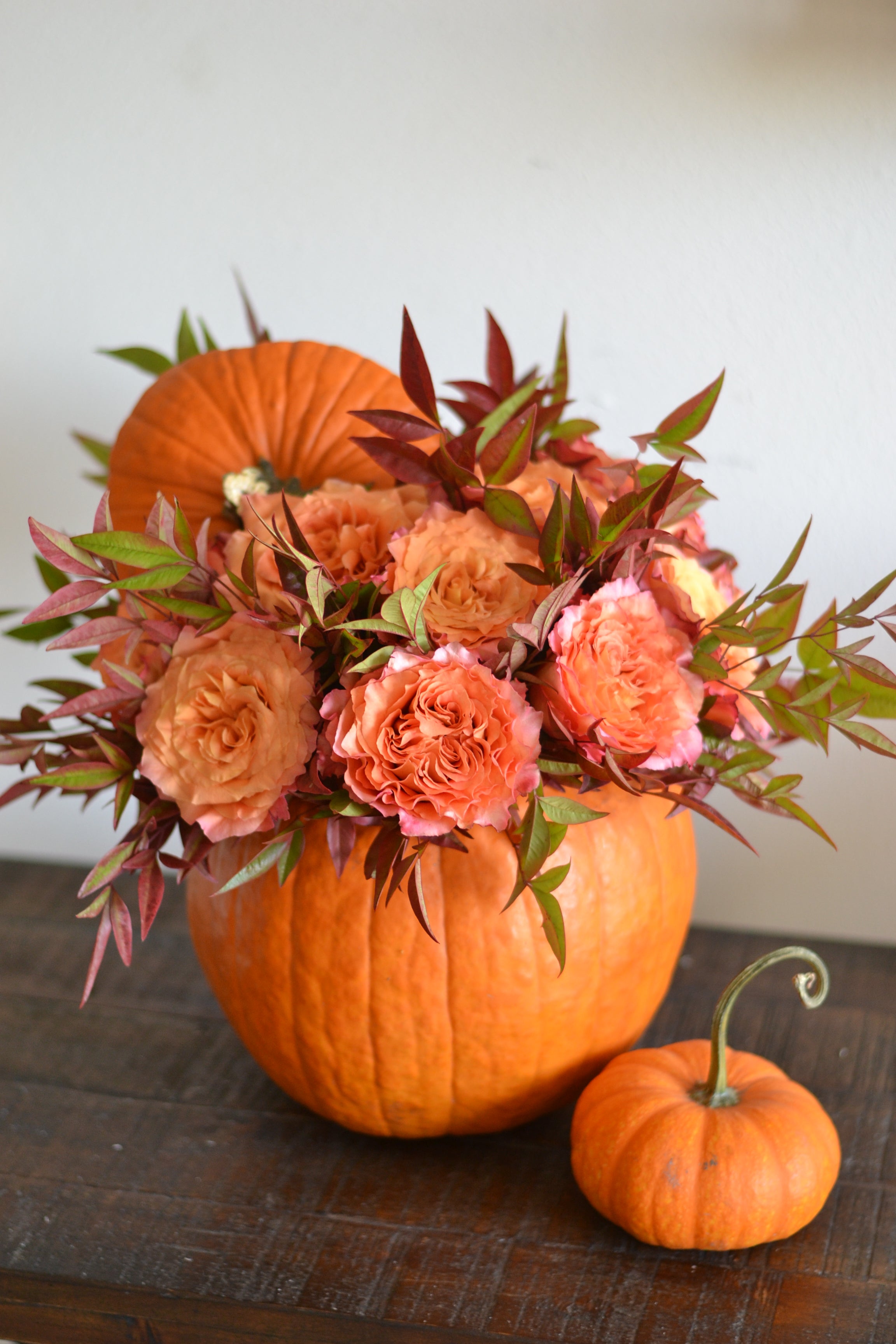 Hello Pumpkin