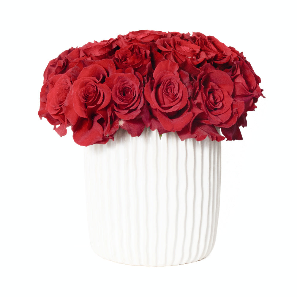 Modern Roses