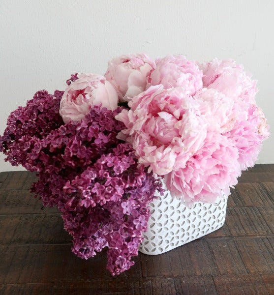 Peonies Obssession