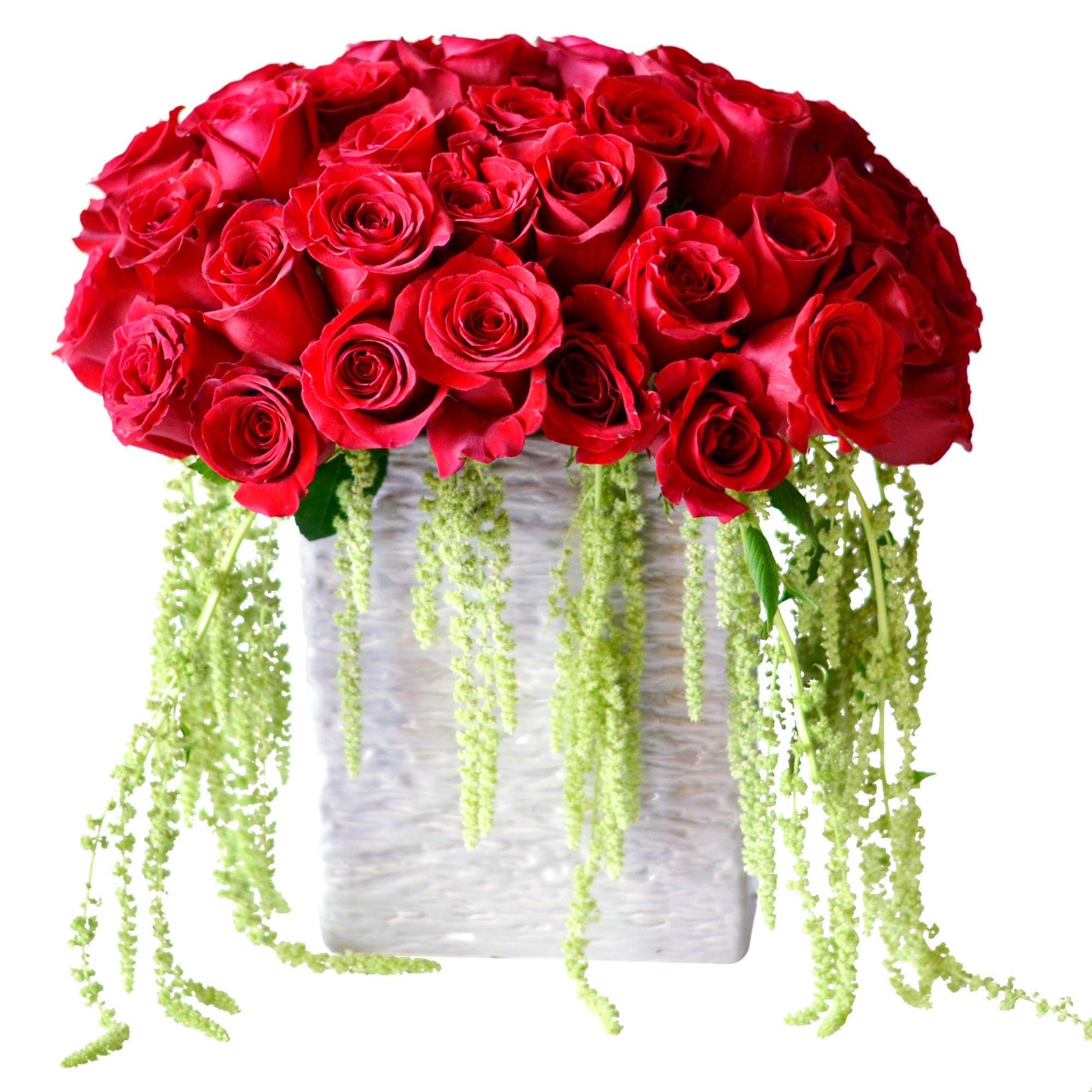 Enchanted Roses