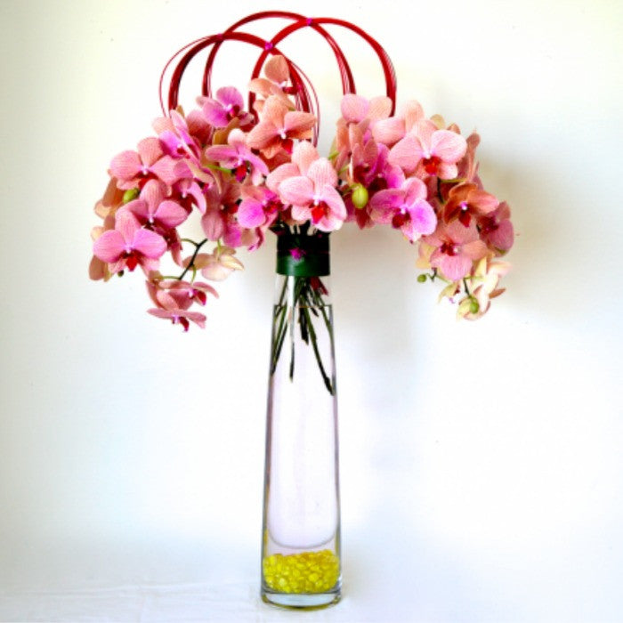 Orchid Fountain