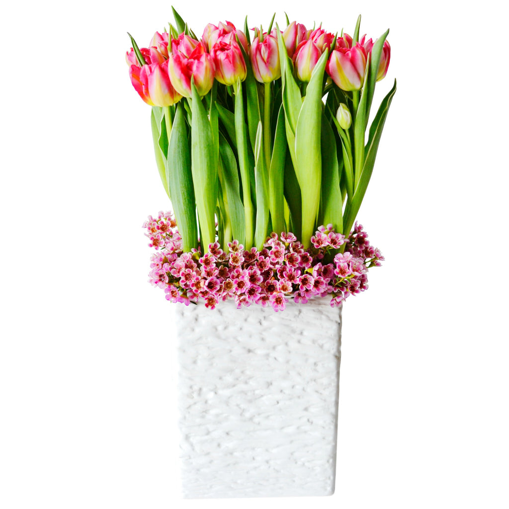 Tulips Forever